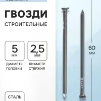 Гвозди ТУНДРА, строительные, ГОСТ 4028-63, без покрытия, 2.5&times;60 мм, фасовка 1 кг