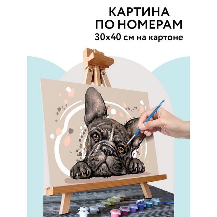 Картина по номерам на картоне «Французский бульдог», 30 × 40 см, с акриловыми красками и кистями