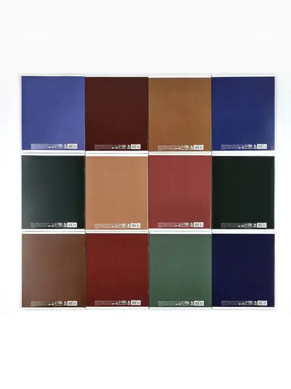 Тетради предметные, 48 л., набор из 12 шт., блок №1 &laquo;Минимализм&raquo;