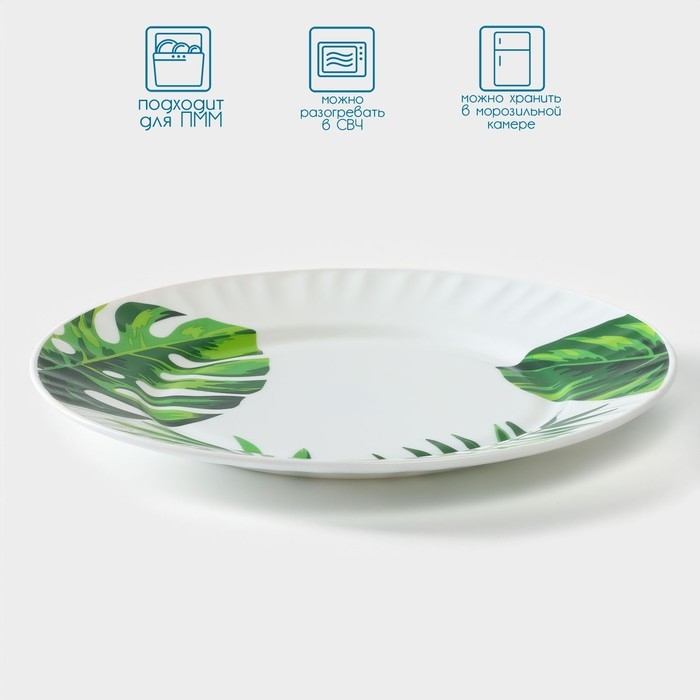 Тарелка обеденная Avvir «Лист папоротника», d=25 см, стеклокерамика, цвет белый Тарелка обеденная Avvir «Лист папоротника», d=25 см, стеклокерамика, цвет белый