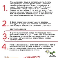 Семена Баклажан «Чёрный красавец», 0.3 г