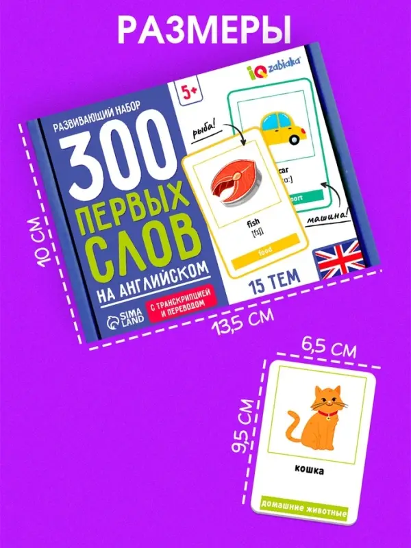 Развивающий набор &laquo;300 первых слов на английском&raquo;, 300 карт, 5+