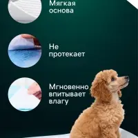 Впитывающие пелёнки для животных &laquo;ПИЖОН&raquo;, 60&times;40 см, набор 5 шт., целлюлоза