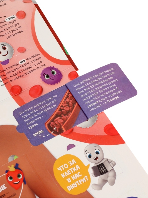 Книга - раскладушка детская «Как устроено моё тело», 40 окошек Книга - раскладушка детская «Как устроено моё тело», 40 окошек