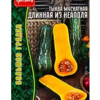 Семена Тыква Длинная из Неаполя мускатная  (Lunga Di Napoli)  4 шт. / НОВИНКА 12.29 г.