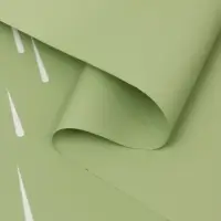 Пленка для цветов, "Звездопад", нежно-зелёная, 57х57 см