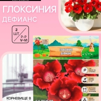 Глоксиния «Дефианс» многолетник, комнатный, луковица в пакете с перфорацией, р-р 5/6, 2 шт.