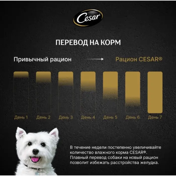 Влажный корм Cesar для собак, паштет с ягнёнком, пауч, 80 г Влажный корм Cesar для собак, паштет с ягнёнком, пауч, 80 г