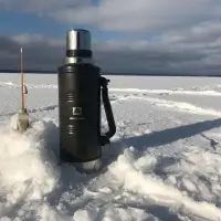 Термос с ручкой «Арктика 2200», черный