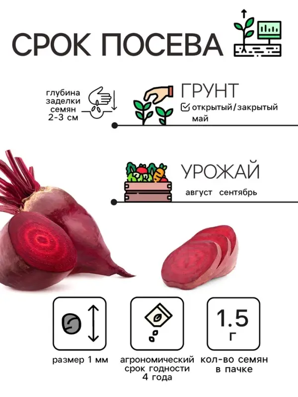 Семена Свекла столовая  Семена Свекла столовая "Мона", 1,5 г