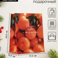 Пакет подарочный новогодний ламинированный, &laquo;Новогодние мандарины&raquo;, 11.5&times;6.5&times;14.5 см