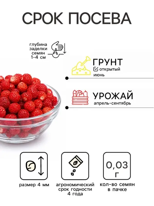 Семена Земляника &laquo;Барон Солемахер&raquo;, ремонтантная, 0.03 г, &laquo;Семена Алтая&raquo;