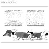 Внеклассное чтение «Умная и знаменитая собачка Соня», Усачев А.