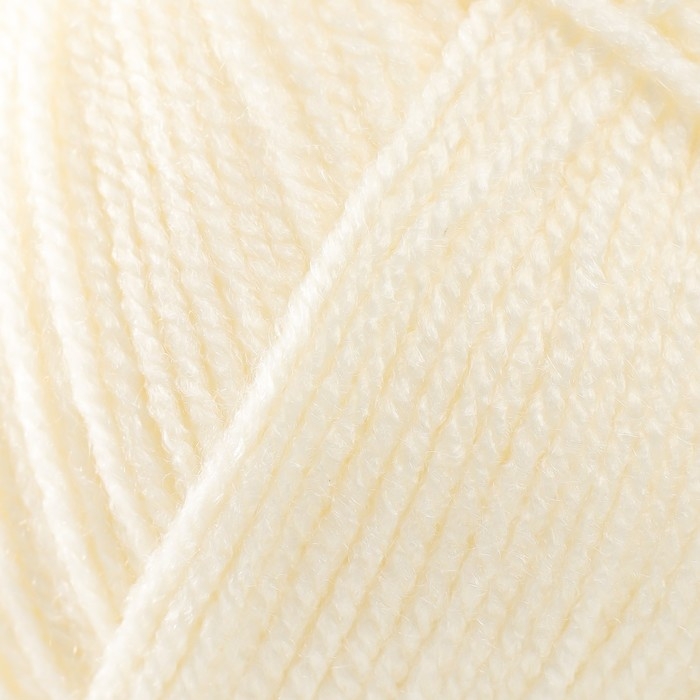 Пряжа "Elite" 100% акрил 300м/100г (851 молочный)