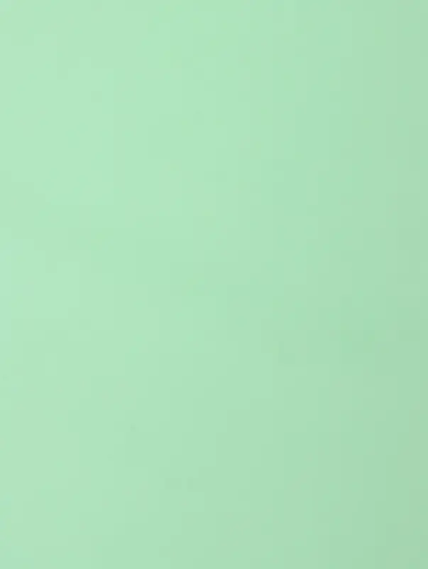 Пленка матовая для цветов и букетов, зеленая мята, 0.58&times;10 м