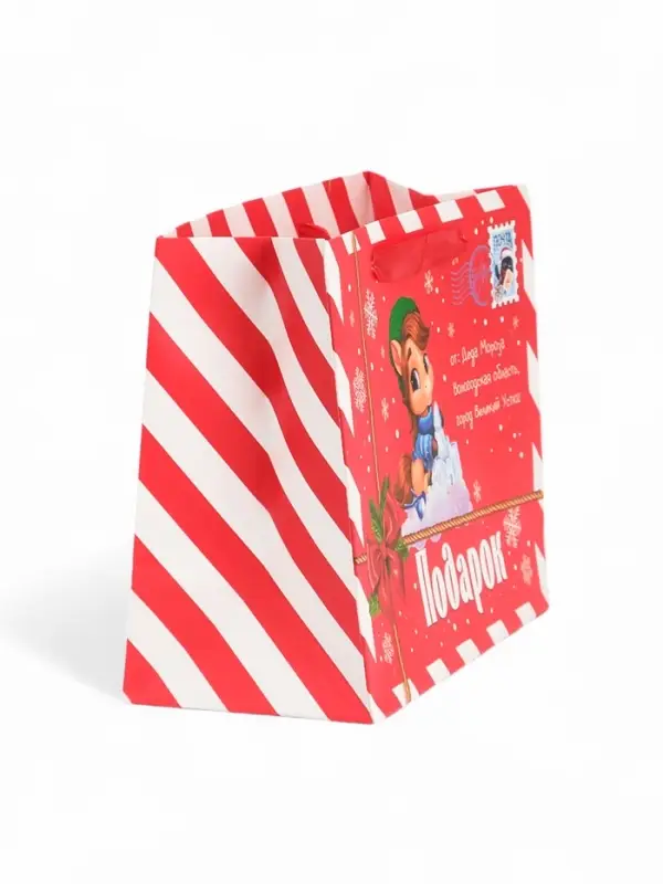 Пакет ламинированный подарочный «Волшебный праздник», MS 23×18×10 см