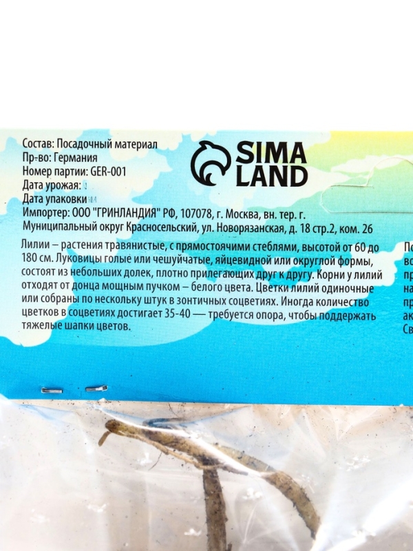 Лилия гибридная «Конка Дор», луковица в пакете с перфорацией, р-р 14/16, 2 шт.