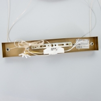 Люстра 1607/2 LED 73Вт 4000К золото 85х35 см BayerLux