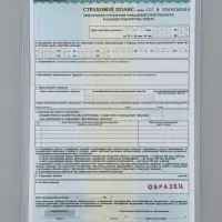 Обложки для свидетельства, набор 3 штуки, ПВХ, 280 мкм, 305&times;220