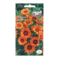 Семена цветов Урсиния "Ундина", Евро, 0,1 г Семена цветов Урсиния "Ундина", Евро, 0,1 г