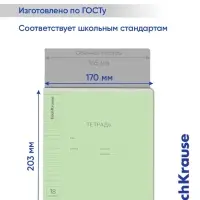 Тетрадь 18 листов в линейку, ErichKrause &laquo;Классика&raquo;, обложка мелованный картон, зелёная