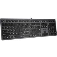 Клавиатура A4Tech Fstyler (FX50 GREY) серый USB slim Multimedia
