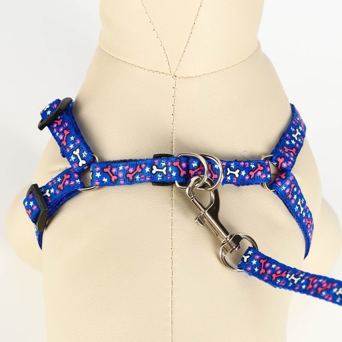 Комплект  Комплект "Звёздные косточки", ширина 1 см, поводок 120 см, шлейка 23-35 см, синий