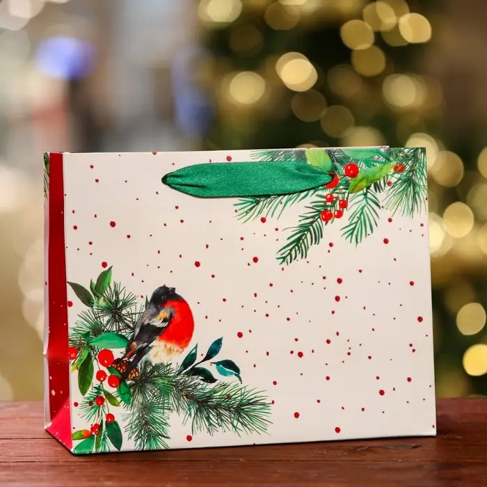 Пакет подарочный Пакет подарочный "Снегирь на праздник ", 23 х 17,8 х 9,8 см