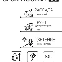 Семена цветов Лаватера "Новый свет", ц/п, смесь, О, 0,3 г серия ХИТ х3