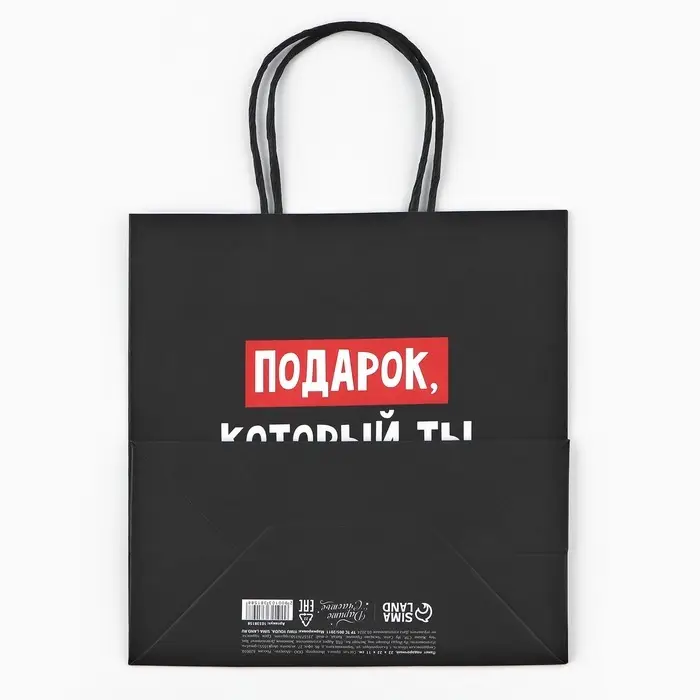 Пакет подарочный новогодний &laquo;Подарок, который ты заслужил&raquo;, 22&times;22&times;11 см