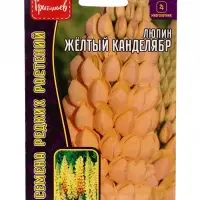 Семена цветов Люпин Жёлтый Канделябр многолетний  14 шт.  12.29 г.