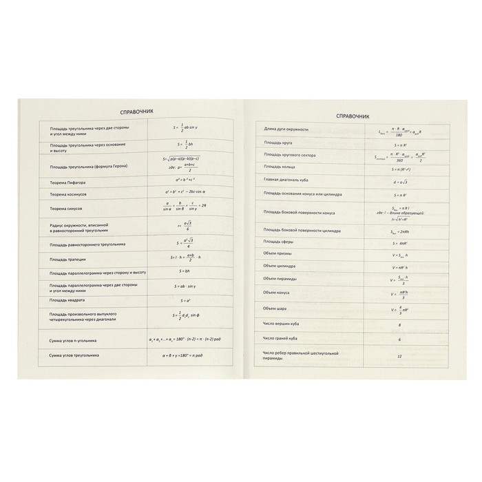 Дневник универсальный для 1-11 класса Minty soft touch, мягкая обложка, искусственная кожа, ляссе, 80 г/м2