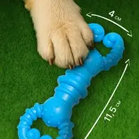 Игрушка для собак резиновая &laquo;Гантель-крабы&raquo;, TPR, 11.5&times;2 см, голубая
