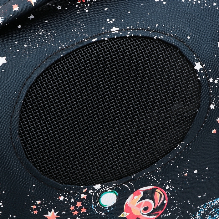 Сумка-переноска каркасная  Сумка-переноска каркасная "Звёздное небо", размер M, 40 х 21 х 27 см, чёрная