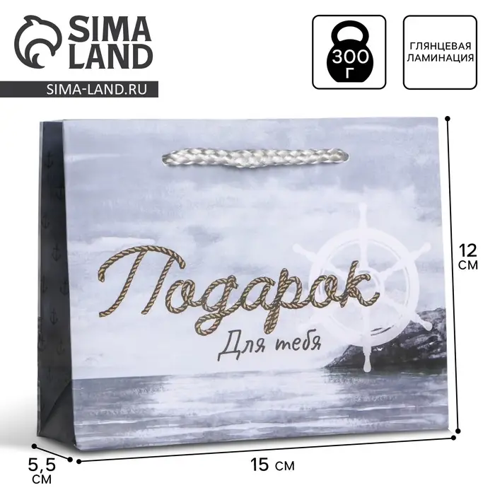 Пакет подарочный ламинированный, упаковка, Present for you, S 15 х 12 х 5.5 cм