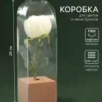Коробка для мини-букетов и цветов, прозрачная с крафт-основанием 28&times;8&times;8 см, крафт