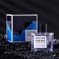 Туалетная вода мужская Maxx Man StarWa, 100 мл (по мотивам Egoiste Platinum (Chanel)