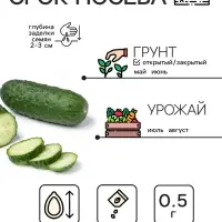 Семена Огурец "Засолочный", 0,5 г
