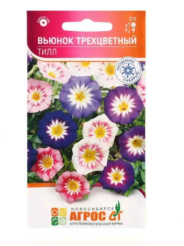 Семена Вьюнок трехцветный &laquo;Тилл&raquo;, 0.5 г, &laquo;Агрос&raquo;
