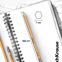 Карандаш чернографитный ErichKrause. Amber 101, НВ, с ластиком, шестигранный