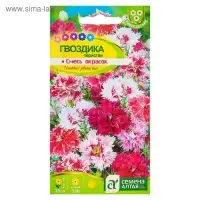 Семена цветов Гвоздика "Перистая", ц/п,  0,1 г Семена цветов Гвоздика "Перистая", ц/п,  0,1 г
