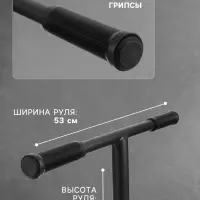 Самокат трюковой GRAFFITI Advanced 24, колёса PU 100 мм, SCS компрессия, ABEC 9 Chrome, чёрный