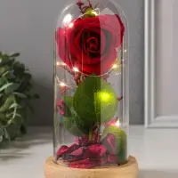 Фигурка световая колба RISALUX &laquo;Роза&raquo;, LED - ночник, 3&times;АG10, красный, 9.5&times;9.5&times;19.5 см