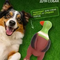 Игрушка пищащая &laquo;Скромная утка&raquo; для собак, 18&times;7&times;4 см, коричневая