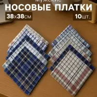 Платки носовые мужские &laquo;Экономь и Я. Квадрат&raquo;, 38&times;38 см, набор 10 шт., рисунок МИКС