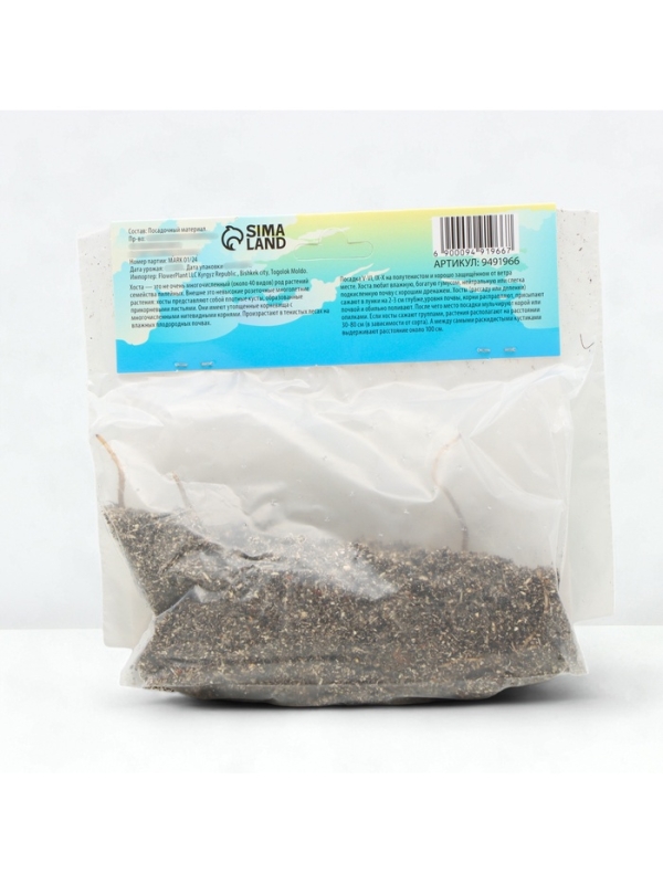 Хоста Atlantis, корневище в пакете с торфогрунтом, р-р I, размер L,1 шт.