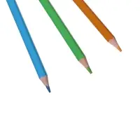 Карандаши цветные 24 ZOO, пластиковые, шестигранные