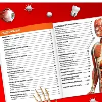 Энциклопедия в твёрдом переплёте &laquo;Строение тела человека&raquo;, 128 стр.