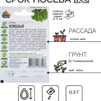 Семена Огурец "Изящный", раннеспелый, пчелоопыляемый, 0,3 г  серия ХИТ х3