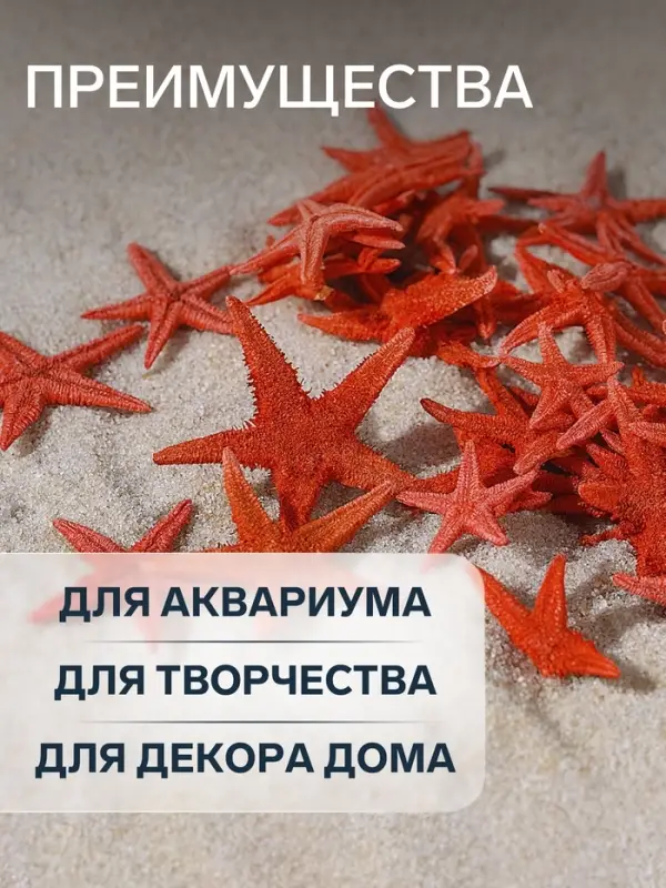 Набор натуральных морских звезд, 1.5-2 см, 20 шт., красный